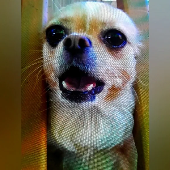 Open To All Offersπππππππ - Picture 1 of 1